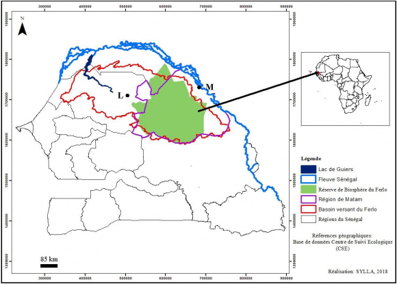 Evolution végétale